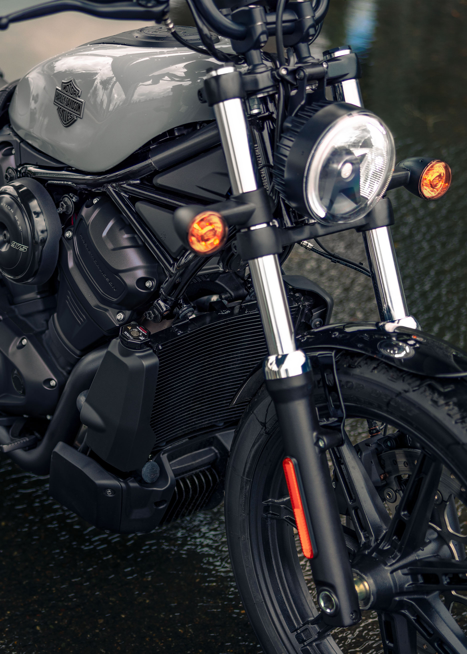 2025-nightster-gallery-2