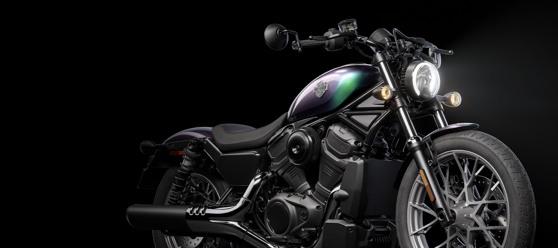 2025 Nightster motorcycle snake venom